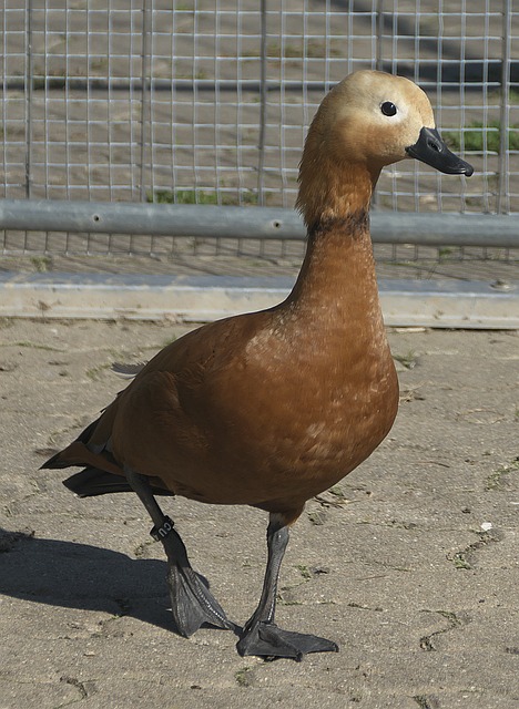 仅来自于个