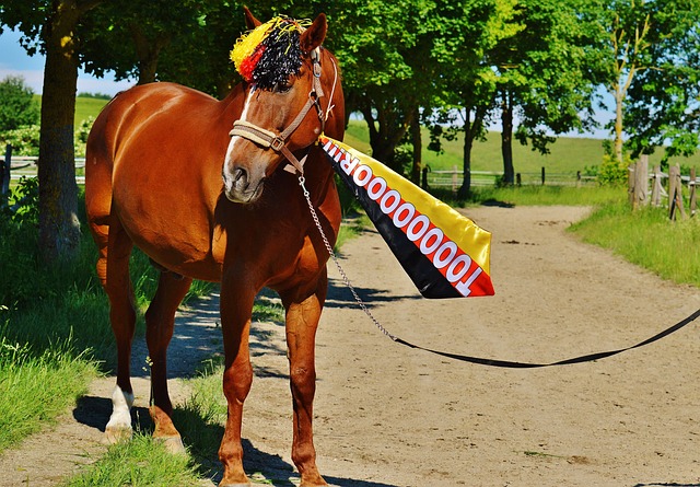 划上句号 划上句号