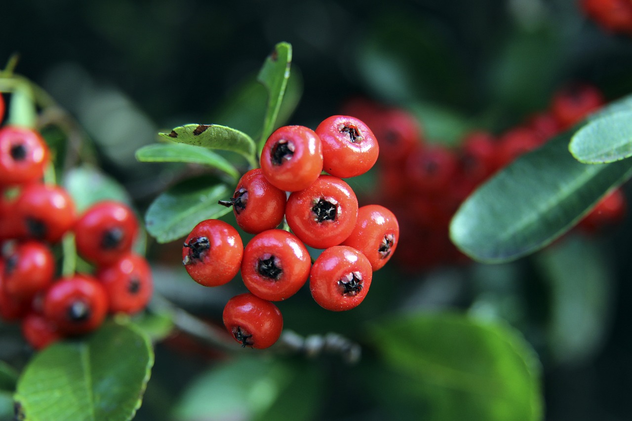 巨大潜力 巨大潜力