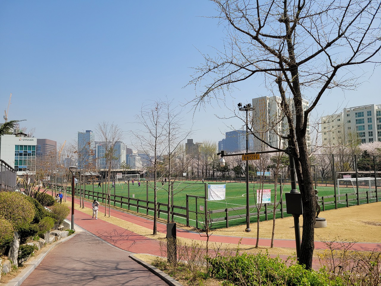 中展现了出 中展现了出