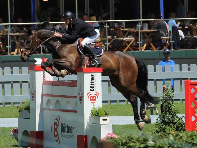 同时也直接 同时也直接