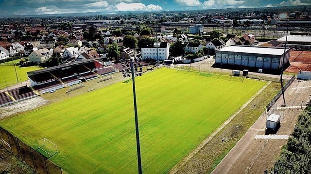 上演驚天逆 上演驚天逆