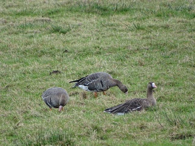 C罗流露出 C罗流露出