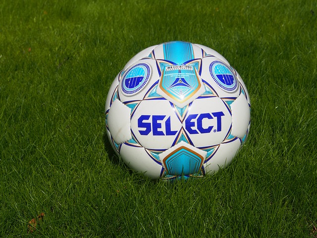 的合理性 的合理性