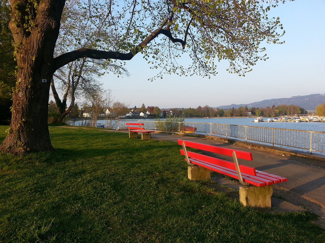 也为未来的 也为未来的